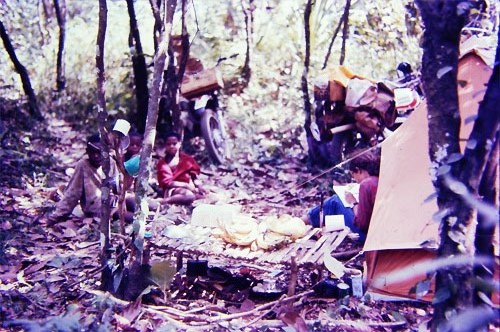 The campsite in the forest cocoa plantation 